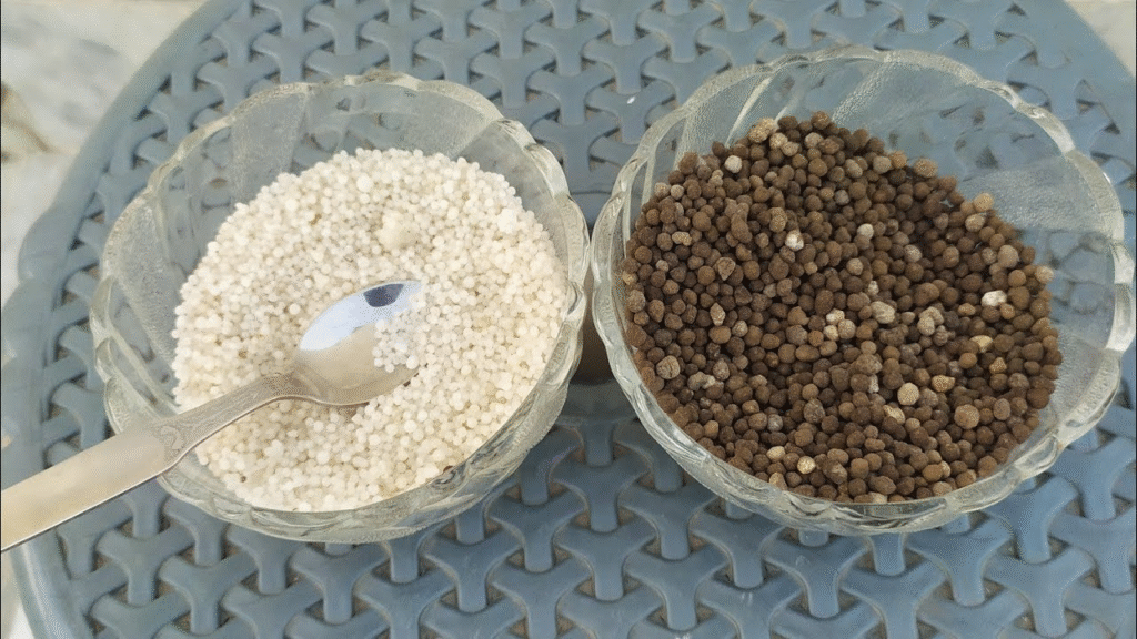 dp urea 2025 new rate