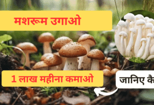 मशरूम उगाओ और 1 लाख महीना कमाओ – जानिए कैसे!