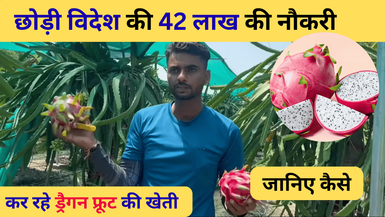 ड्रैगन फ्रूट की खेती