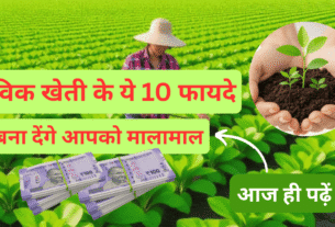 जैविक खेती के ये 10 फायदे