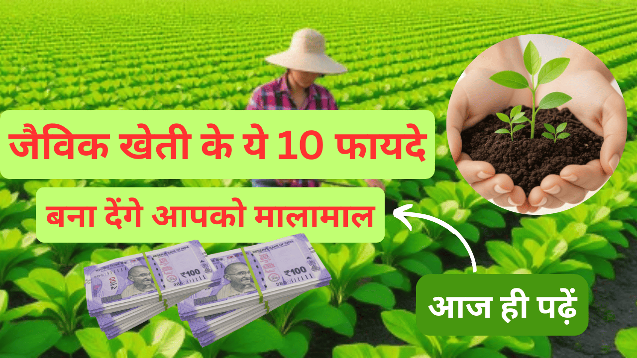 जैविक खेती के ये 10 फायदे