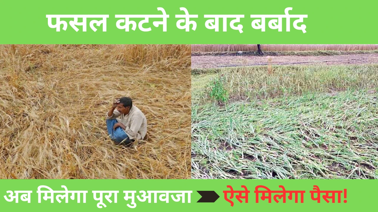 फसल बीमा योजना
