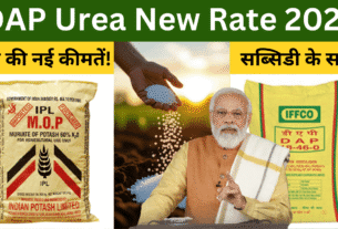 DAP Urea New Rate 2025