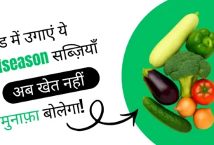 सर्दियों में उगाएं Offseason सब्ज़ियाँ | कम मेहनत में ज़्यादा मुनाफ़ा